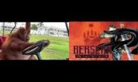 Thumbnail of Driving Orangutan Dreams