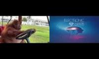 Thumbnail of Early morning vibing