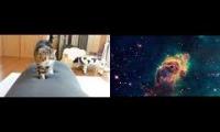 Yogibo Aeterna and on and on