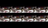 8 Trumpet Cats Playing