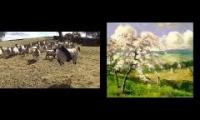 Sheep Waltz Nutcrack