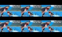 Unlocked Bull Shark Hungry Shark World