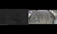 Thumbnail of Amazingearthanimalslivestream