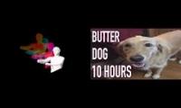 quixotic x butterdog