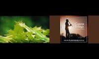 Thumbnail of Relax Leaves and Flute