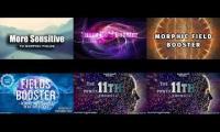 ultimate morphic field energy booster