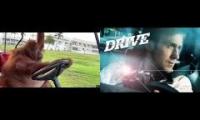 Thumbnail of orangutan goes for a drive