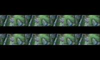 Thumbnail of Silvana Tired guys..