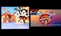 Animaniacs 1993 Theme Song (Dutch) - OG VS Cover