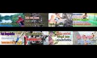 Thumbnail of Panen udang vaname sistem tradisional