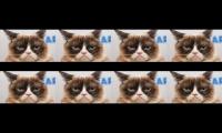 Thumbnail of Kucing dan anjing lucu