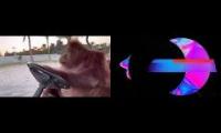 take a ride with the chillest driver on the planet