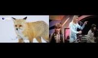 The foxy fox is on the jump