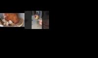 Thumbnail of Try to do Vidoe Multiplier toincrease time