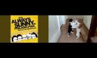 Atmosphere and Cats and non-metal