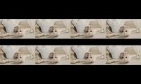 Thumbnail of Cute Cat Walk in the floor enjoy your time