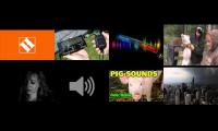 Contraband Contest Sounds