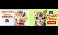 Thumbnail of Best super market reviews