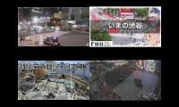 Japan Street Live View
