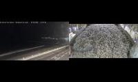 Amazingearthanimalslivestream