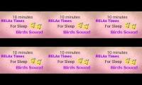 Thumbnail of Birds Song for sleep