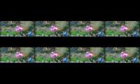 Thumbnail of Push rank with skin ruby edelweiss build tank nih bos