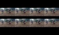 Jaranann,kumpulan jaranann,tentang jaranann,musik jaranan
