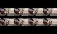 Video,dubbing,film,tutorial