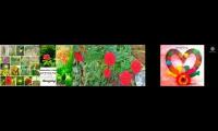 Thumbnail of Watchhours increasing
