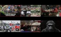 Thumbnail of FREEDOM PROTESTS NEW ZEALAND & CANADA LIVE