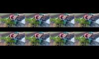 Thumbnail of pemijahan lele cara terbaru cepet panen
