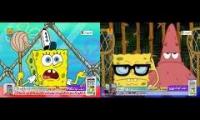 Persia Spongebob likes