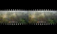 Thumbnail of Whatsapp status video
