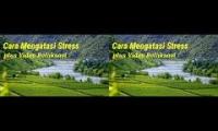 Cara Mengatasi Stress