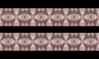 Eye/Vision Mandala x6 PI