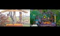 Amazingearthanimalslivestream