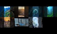 Amazing natural beauty video mountain