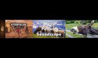 Thumbnail of African village sheep donkey