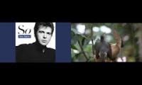 Thumbnail of Middle school bird dance