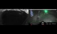 Amazingearthanimalslivestream