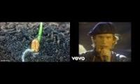 The grand Plant montage - Eye of the Tiger