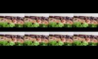 Thumbnail of life style youtube video
