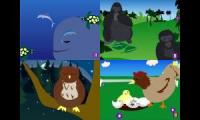 Animal Movies: Ocean, Jungle, Forest, Farm,