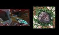 Thumbnail of TAPPED IN (Hotel Breakfast)