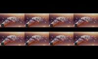 Thumbnail of 6 Hours Relaxing Nature Sounds Forest River-Sleep Relaxation-Birdsong-Sound of Water - Better Relax