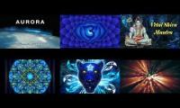 Thumbnail of Positively Trans Cent Dent Love Mutational Healers Collaborating