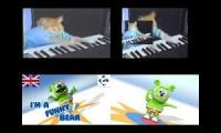 Keyboard cat vs gummy bear