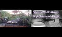 Thumbnail of Amazingearthanimalslivestream