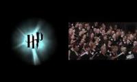 Harry Potter Three Kings