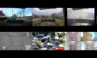 Amazingearthanimalslivestream